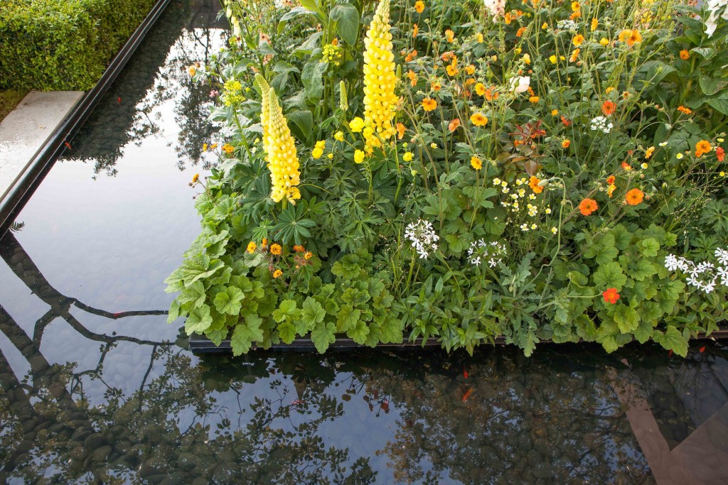 A group of plants in front of the LG Eco-City Garden