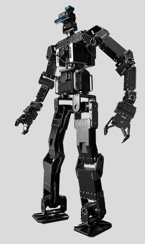 A sample image of the robot