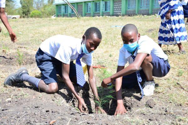 Two students planting trees to help improve their school ground.