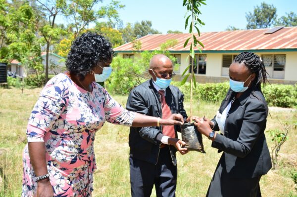 People working together to plant trees so that local students have a better environment to walk around at their school.