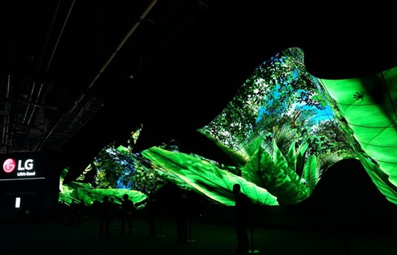 A wide-angle shot of LG Wave in the large and dark CES 2020 convention hall while displaying the vibrant greens and blues of a rainforest.
