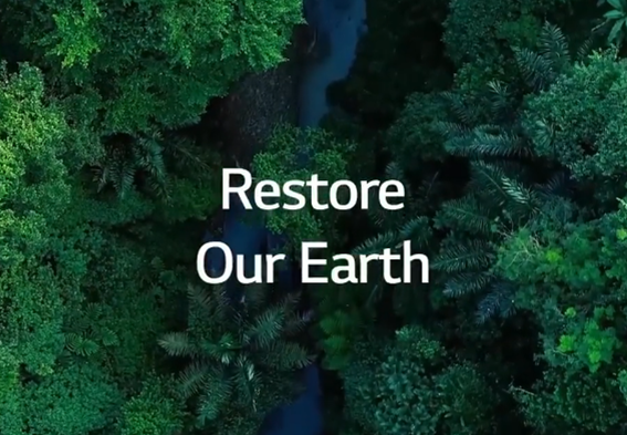 A birds-eye view of a rainforest with a stream running through it and the phrase 