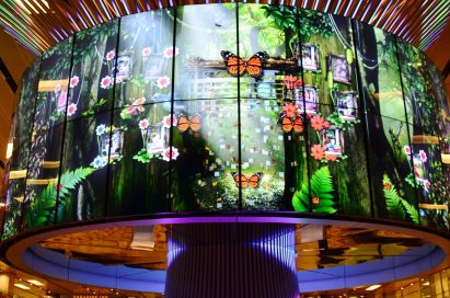 Numerous LG 47WV30 displays create a ‘Social Tree’ video wall that display vivid images in Changi Airport’s Terminal One