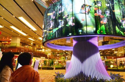 CHANGI AIRPORT GROUP PARTNERS WITH LG TO TAKE WRAPS OFF SOCIAL TREE