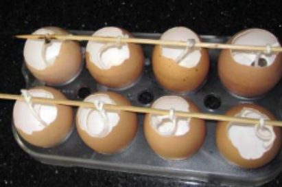 The candle-making process using eggs
