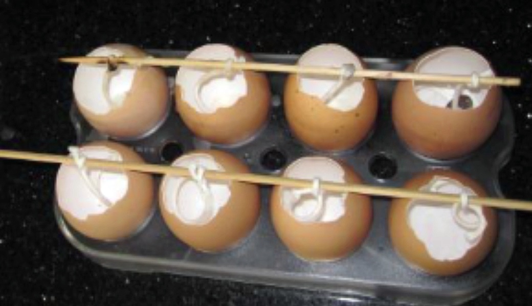 The candle-making process using eggs