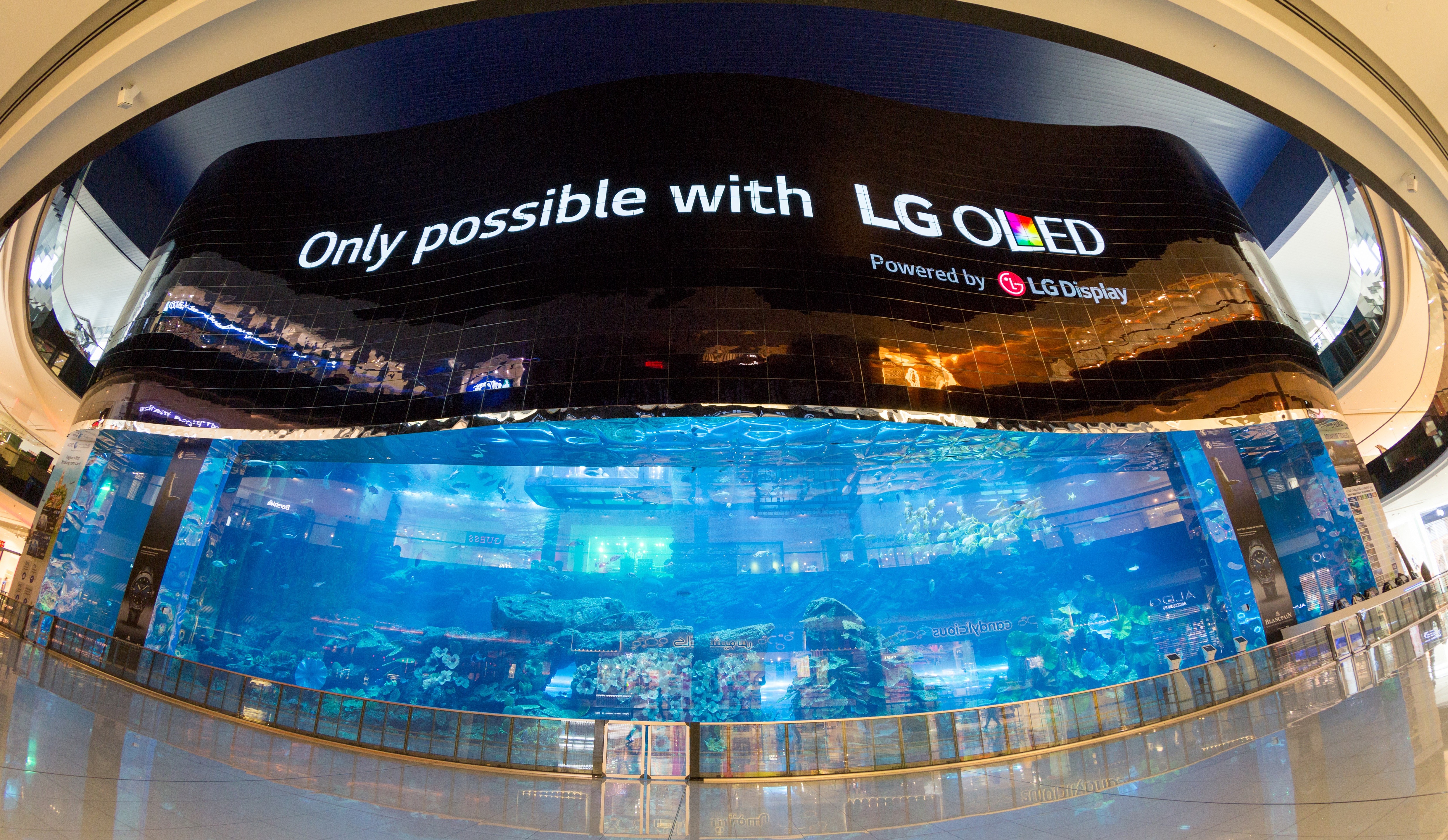 A gigantic LG OLED video wall signage displaying the message, ‘only possible with LG OLED,’ at the Dubai Aquarium
