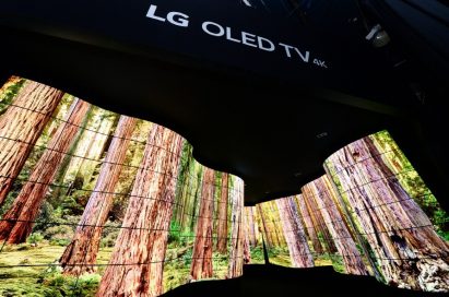 A wide-angled shot of the LG OLED Canyon displaying giant redwood trees at CES 2018
