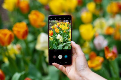 A person taking a photo of a patch of tulips with AI CAM on the LG G7 ThinQ