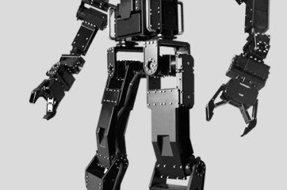 A sample image of the robot