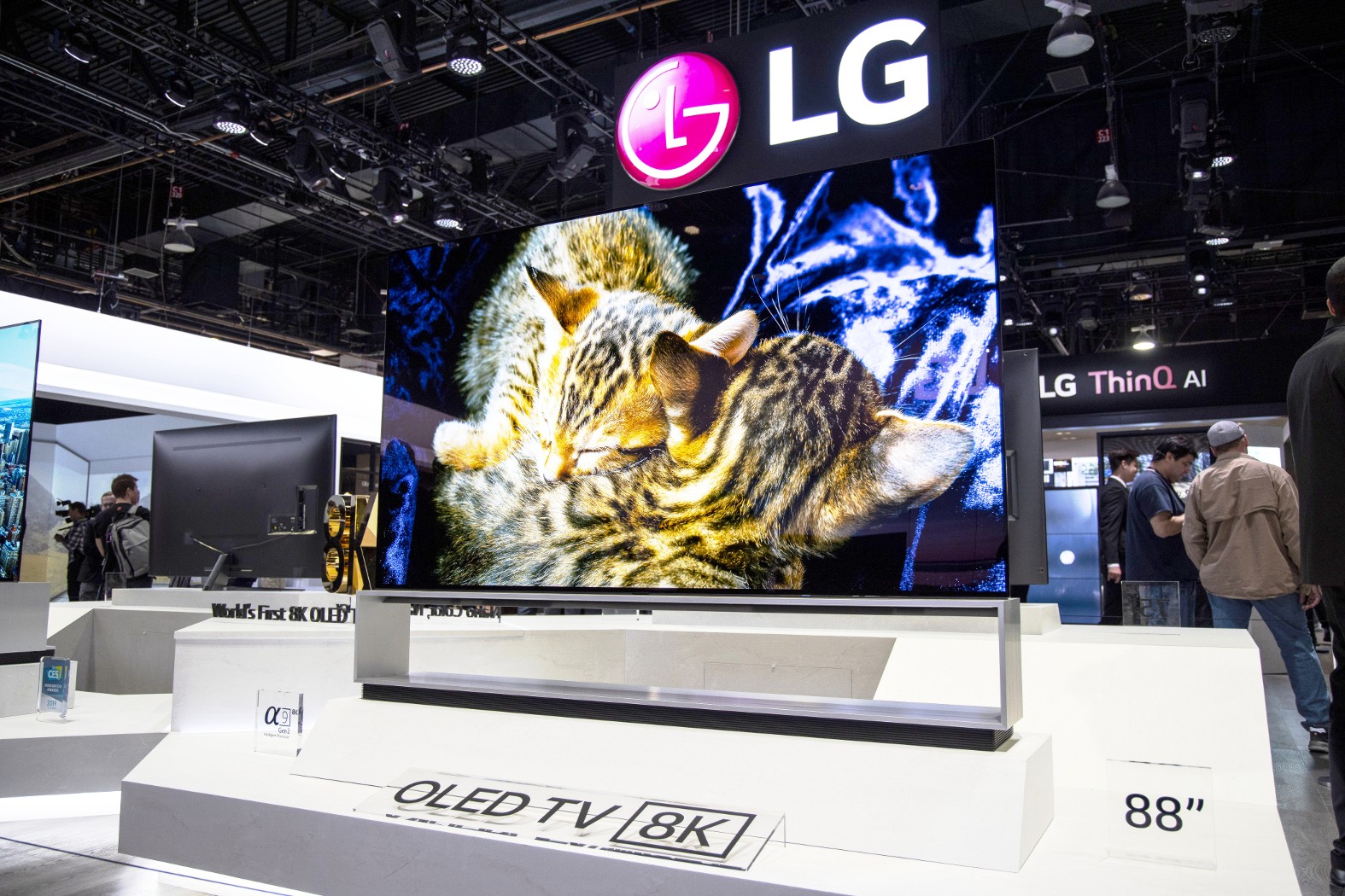 An LG 8K OLED TV showing a vivid image of kittens