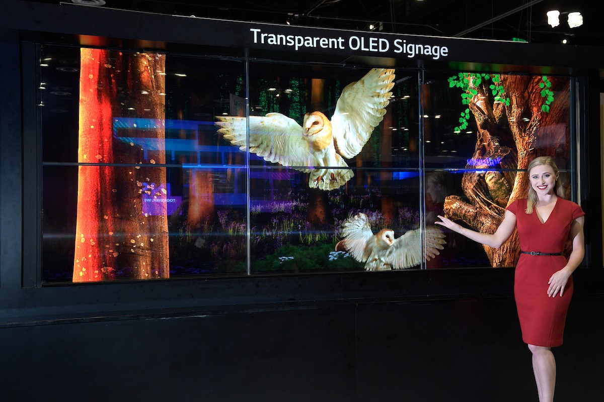 A model poses with the Transparent OLED signage.