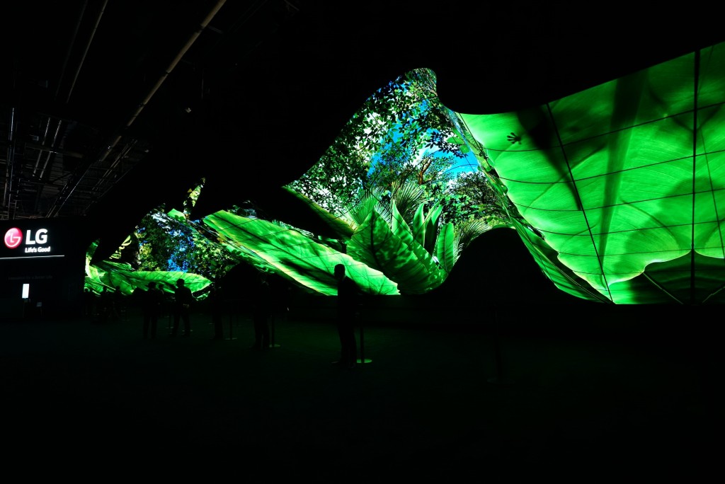 A wide-angle shot of LG Wave in the dark displaying the vibrant greens and blues of a rainforest at CES 2020