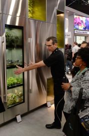 An LG employee demonstrating LG’s unique indoor gardening appliance to visitors at CES 2020