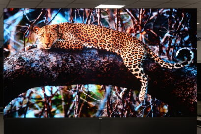 A front view of a leopard lying on a tree displayed on LG MAGNIT which provides superior picture quality, expandability and a convenient set-up