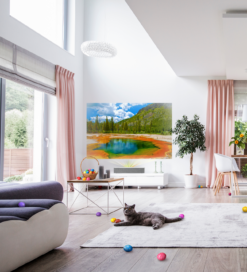 A modern living space equipped with LG products and a cute cat playing on the carpet.