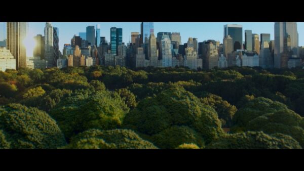 The green trees of New York City’s Central Park with its many tall skyscrapers in the background.