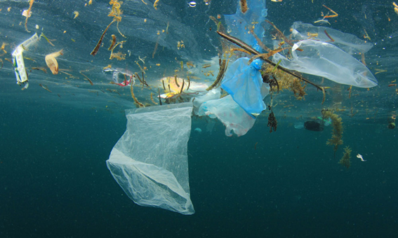 An image of plastic waste floating in the ocean.