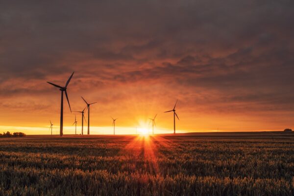 A large field with several wind turbines during a beautiful sunset. 