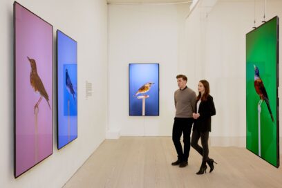 Two visitors viewing 'An Incomplete Dictionary of Show Birds' by Luke Stephenson