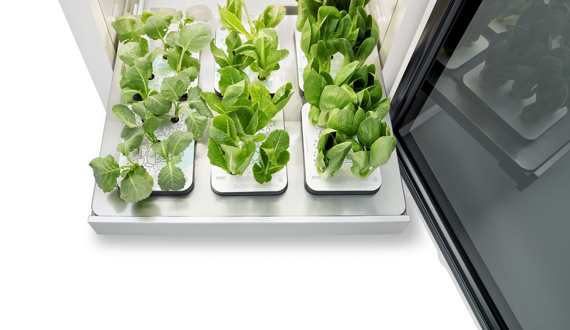 The bottom drawer of LG tiiun with vegetables growing in their seed packages.