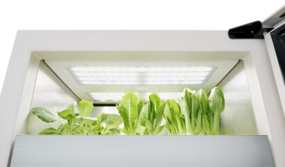 Inside of LG tiiun with lights on and growing vegetables.