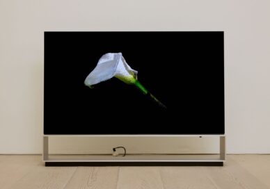 'The Moment & Morpho Luna' by Je Baak displayed on LG OLED TV at Saatchi Gallery