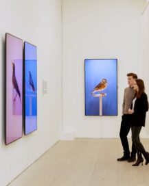 Two visitors viewing 'An Incomplete Dictionary of Show Birds' by Luke Stephenson