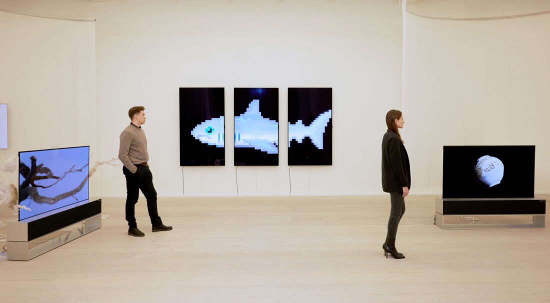 Form left, ‘The Warm Tree’ by Ruofan Chen, ‘THE S/H/A/R/K’ by Damien Hirst and ‘The Moment & Morpho Luna’ by Je Baak displayed on LG OLED TVs at Saatchi Gallery
