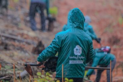 Volunteer workers planting trees as part of LG Spain’s Smart Green Movement.