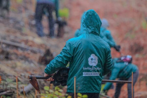 Volunteer workers planting trees as part of LG Spain’s Smart Green Movement.