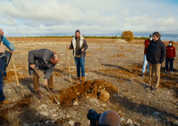 Volunteer workers planting trees as part of LG Spain’s Smart Green Movement.