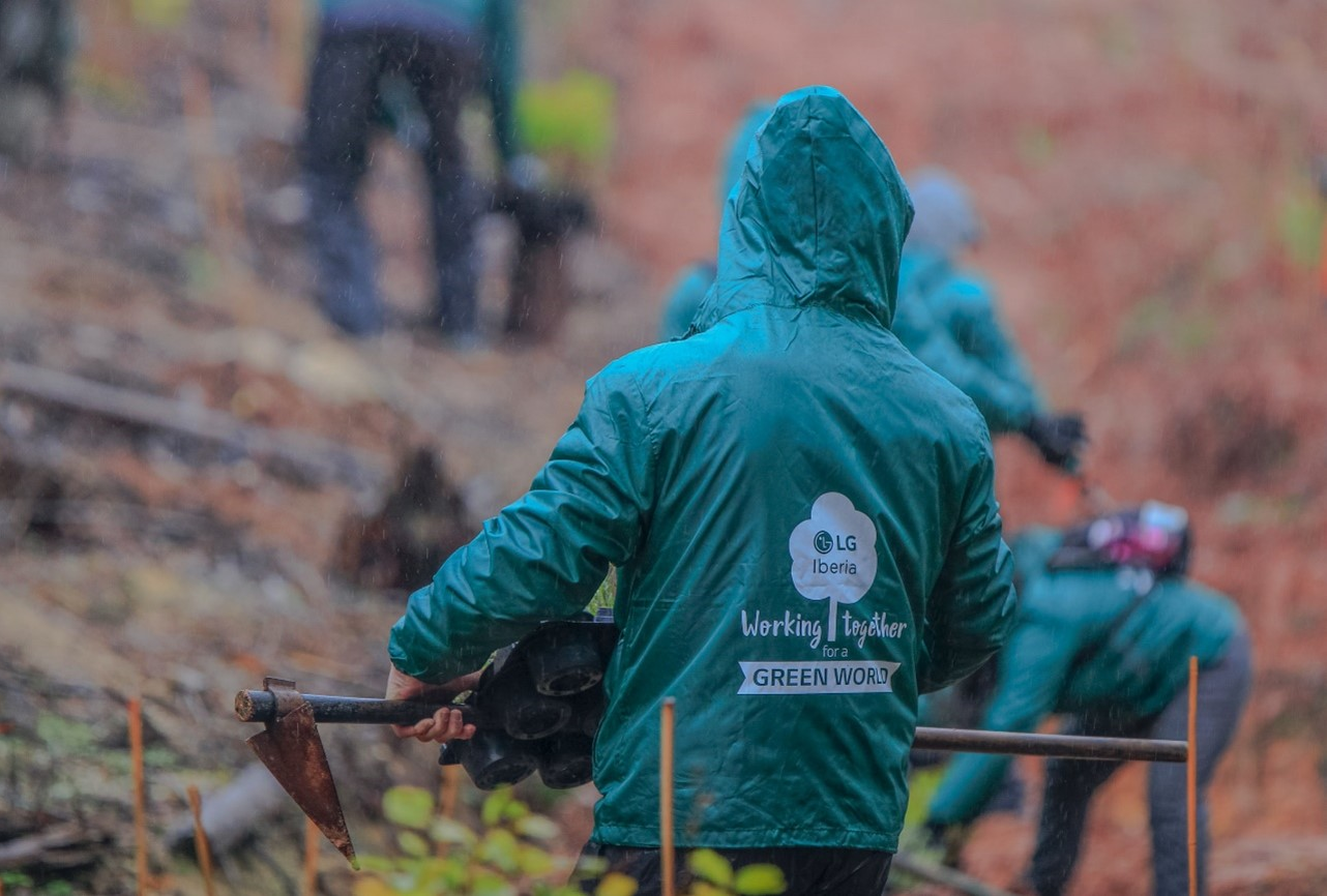 Volunteer workers planting trees as part of LG Spain’s Smart Green Movement.