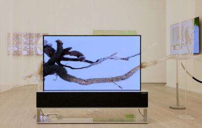 'The Warm Tree' by Ruofan Chen displayed on LG OLED TV