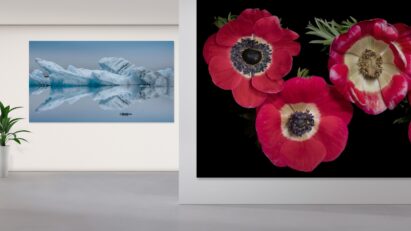 The LG digital signage installed in a gallery presenting Jamie Scott’s artwork