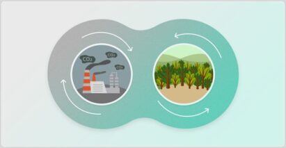 An illustration containing two distinct images: a factory emtting carbon dioxide on one side and clean forest on the other side.