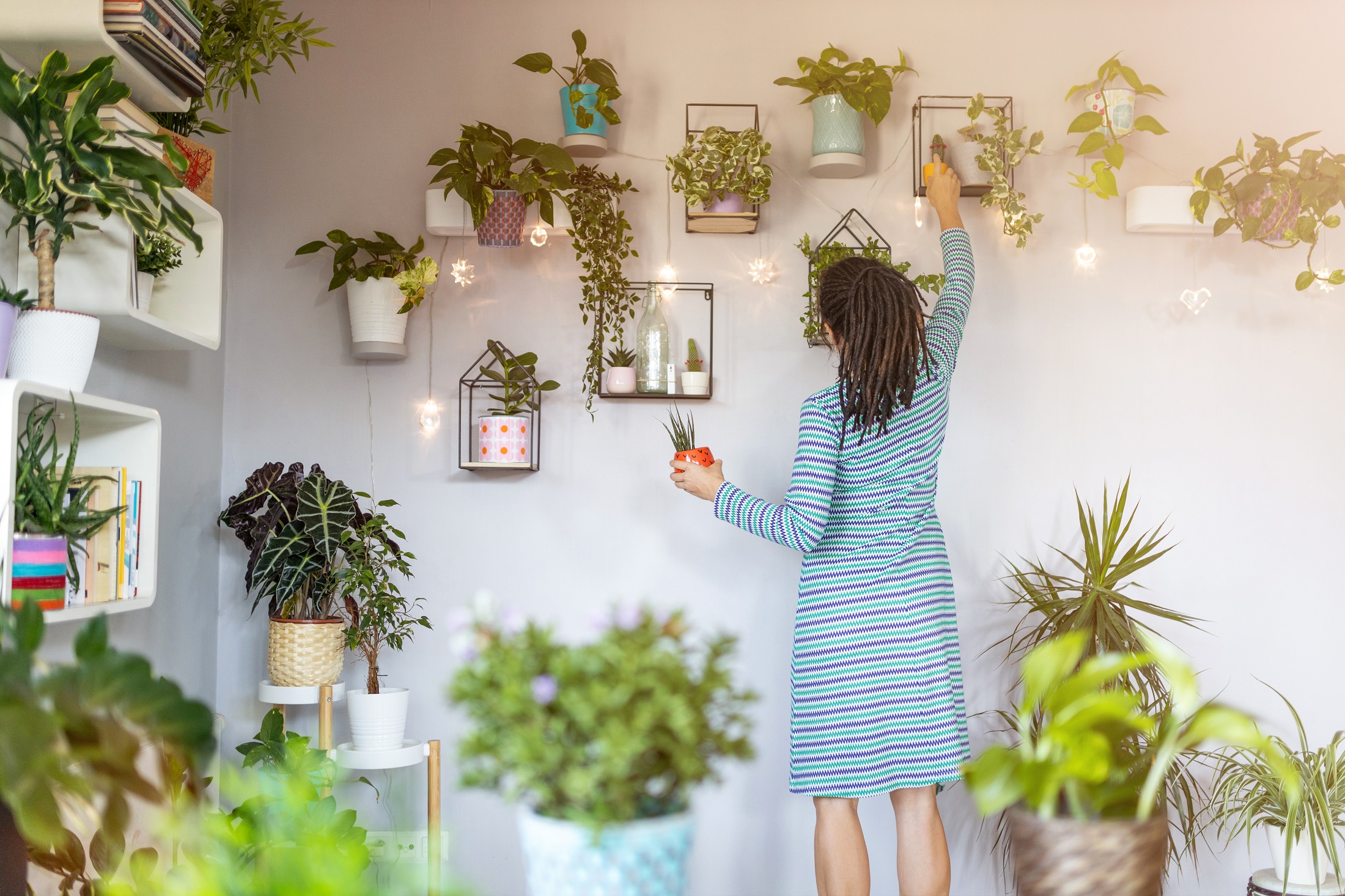 A woman is placing plants on a black frame hanging on the wall
