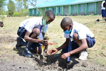 Two students planting trees to help improve their school ground.