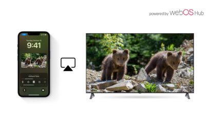 An image of an iPhone using Airplay to mirror a picture of two bear cubs in the wild to an LG Smart TV powered by webOS Hub 2.0