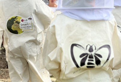 Saving Native Bees to Help Local Biodiversity Thrive