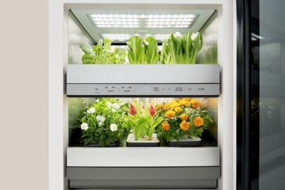 Inside of LG tiiun with lights on and growing vegetables as well as flowers