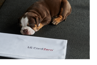 Photo of a puppy taking a nap with a napkin that says "LG CordZero" on it