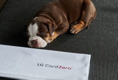 Namaste With Puppies and LG CordZero™