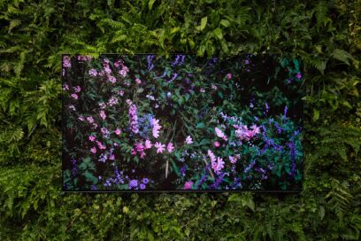 An LG OLED TV mounted on a wall of green leaves showcases Quayola's colorful floral art