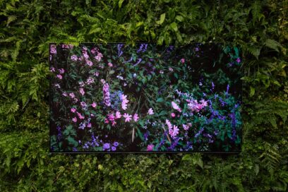An LG OLED TV mounted on a wall of green leaves showcases Quayola's colorful floral art