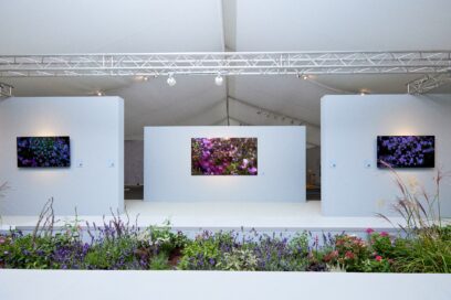 A white exhibition space with LG OLED TVs on each wall digitally represent Quayola's artwork
