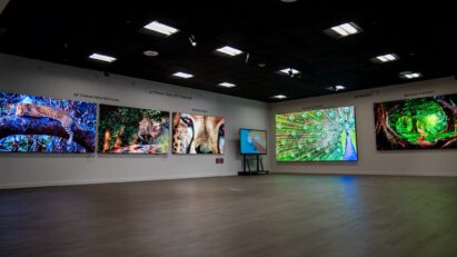 A photo of the inside of the LG Business Innovation Center with multiple displays