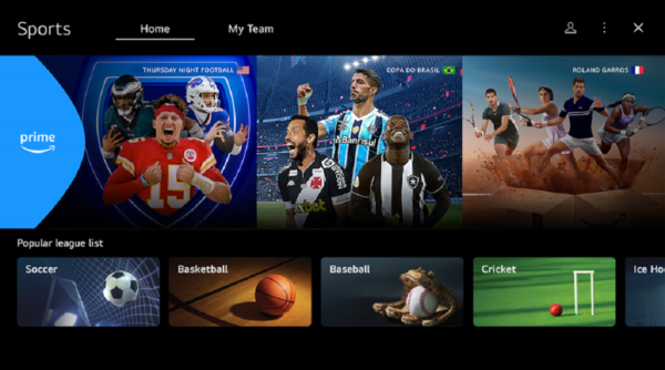 An illustration showing the sport portal snapshot with the home screen