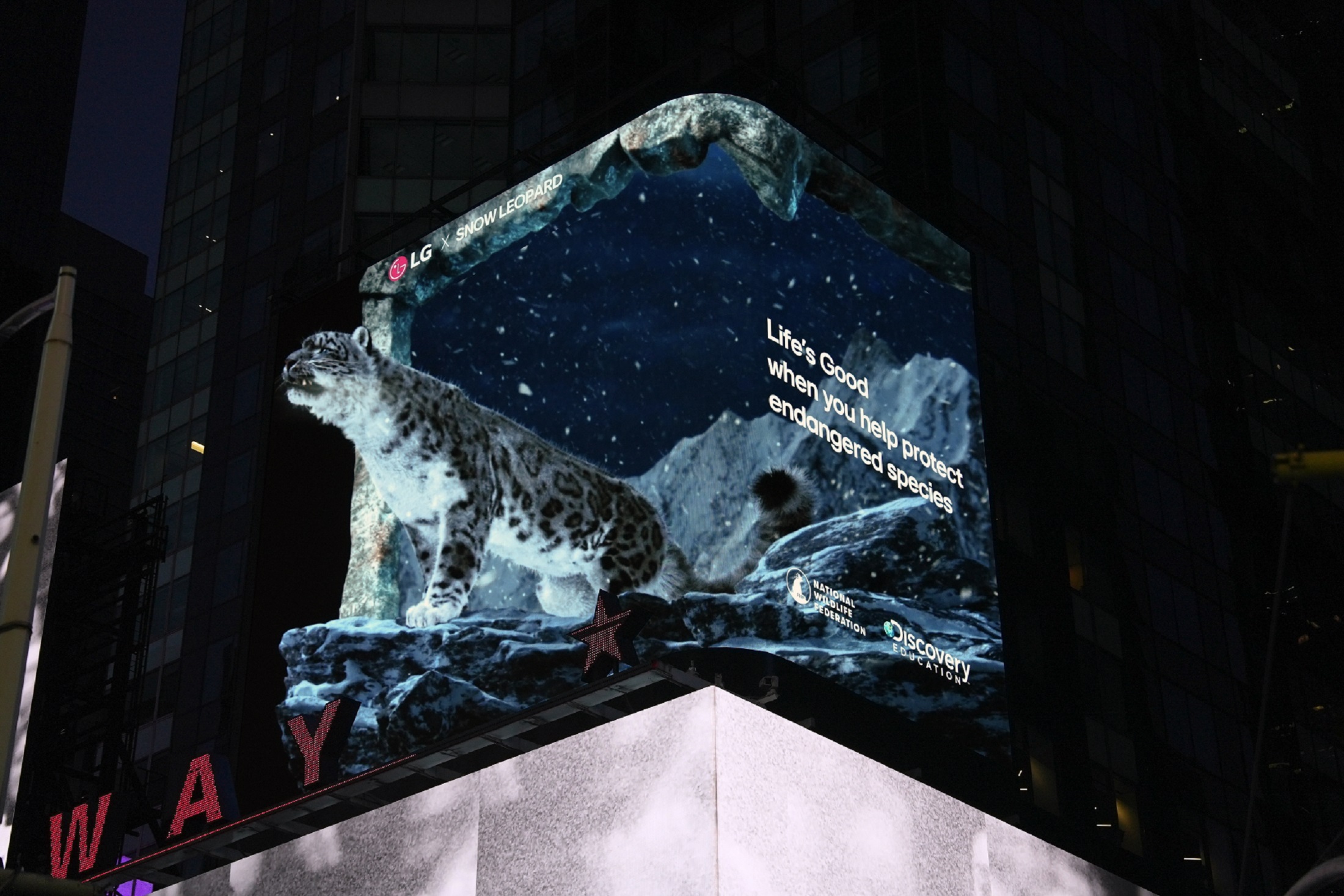 A picture of the LG 3D anamorphic experience on the Times Square billboard at night time