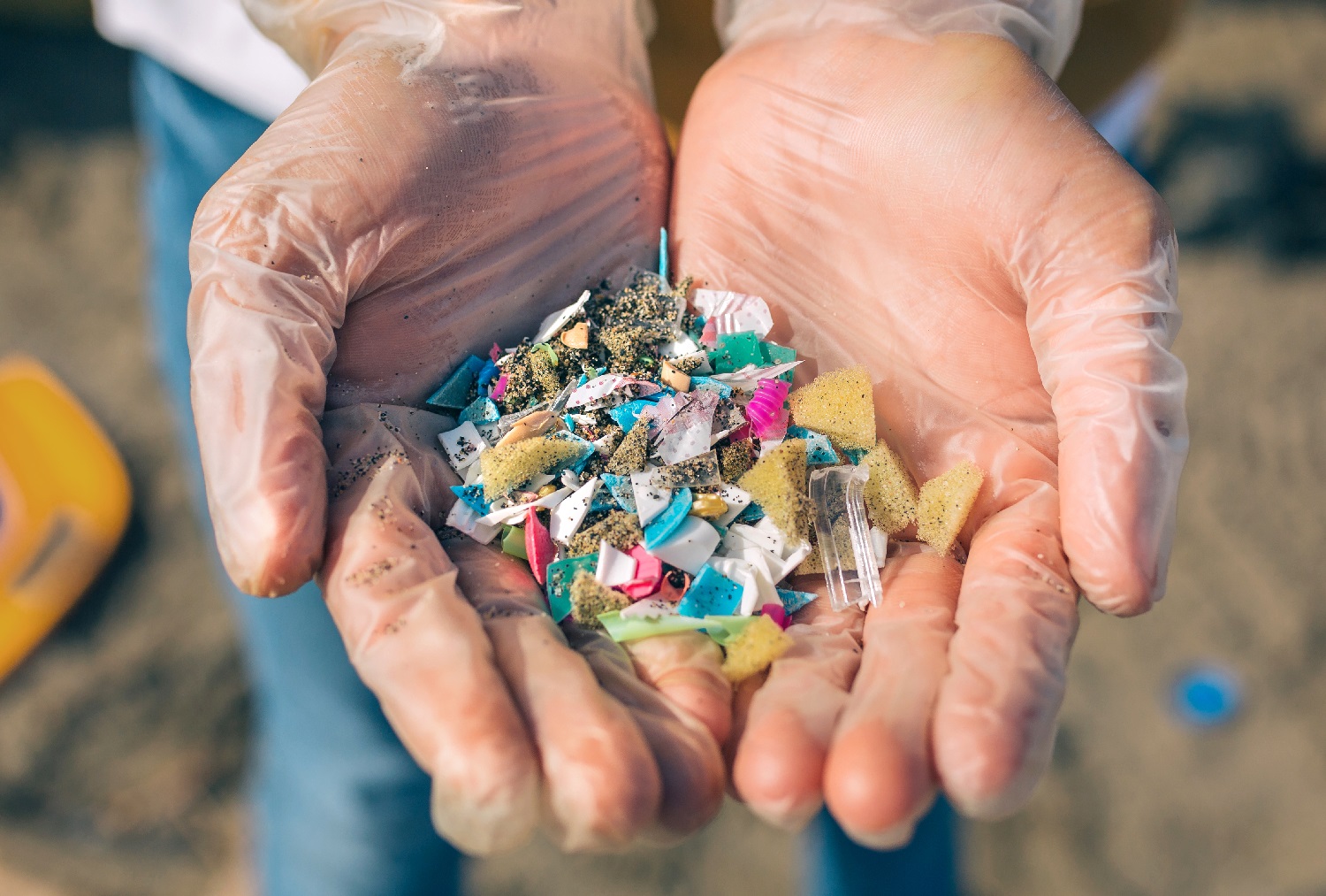 An image of a hand holding pieces of trash